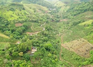 João Neiva Vista de Cima: Voo de 2 km com Mavic pro
